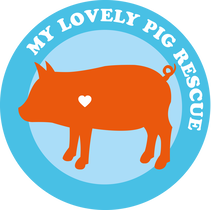Logo MLPR